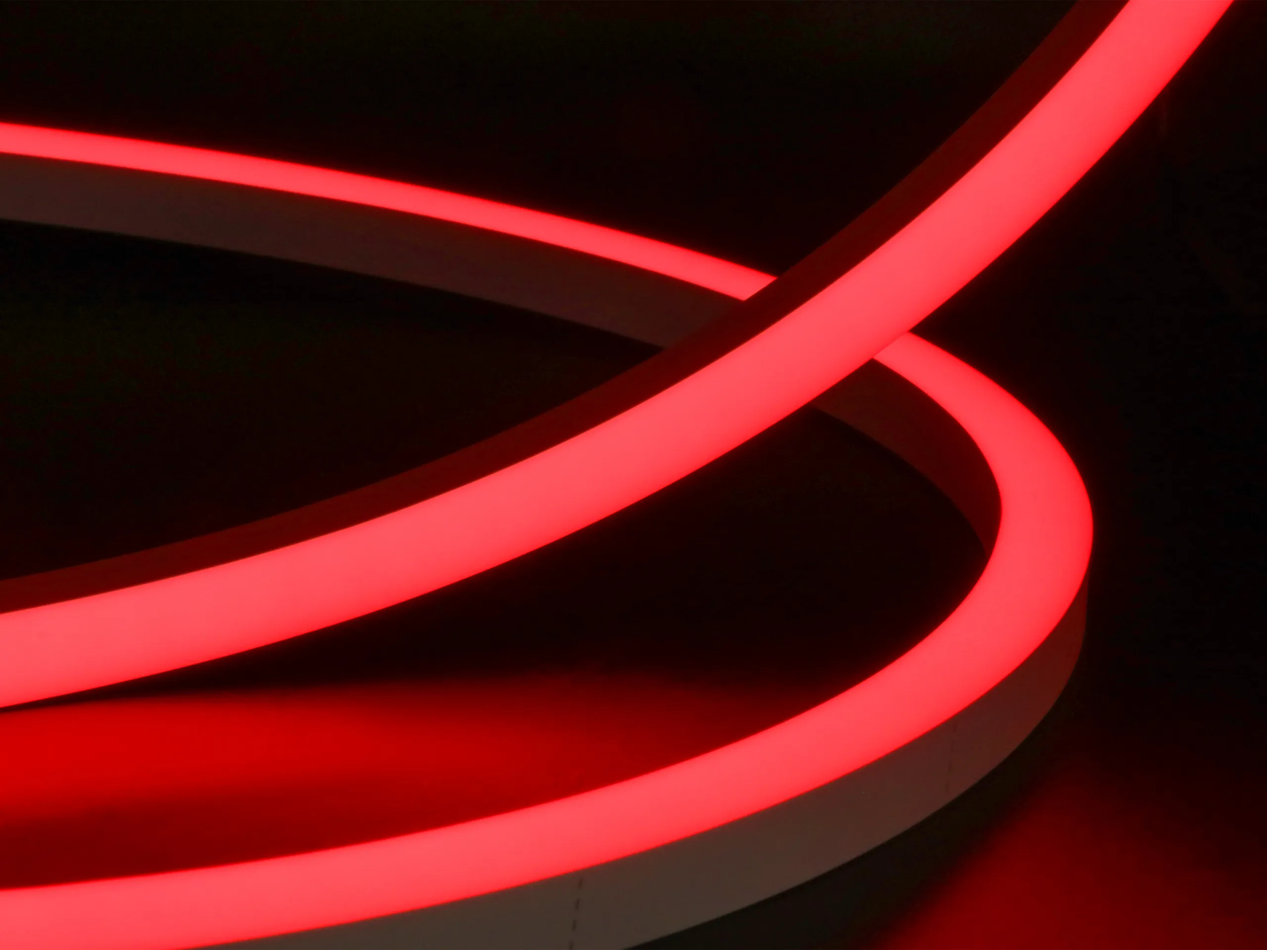 NEON 1617 SV RGB-点亮.webp
