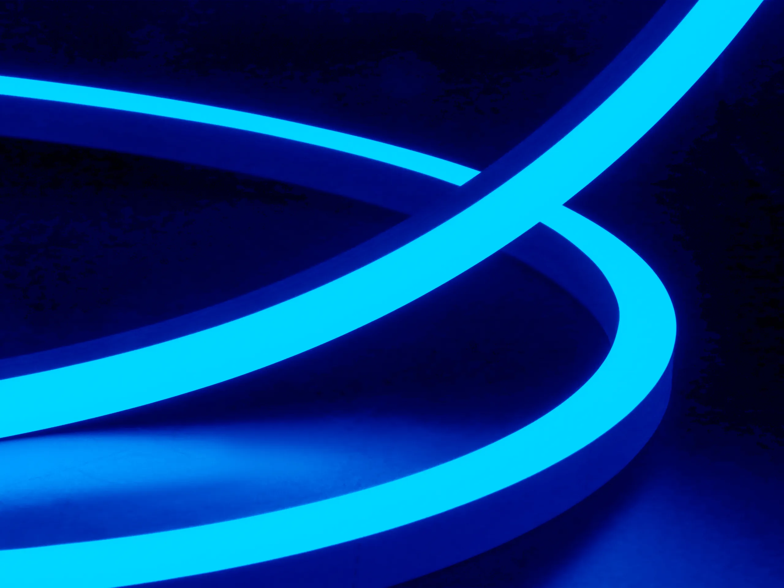 NEON 1617 SV RGBW-点亮.webp