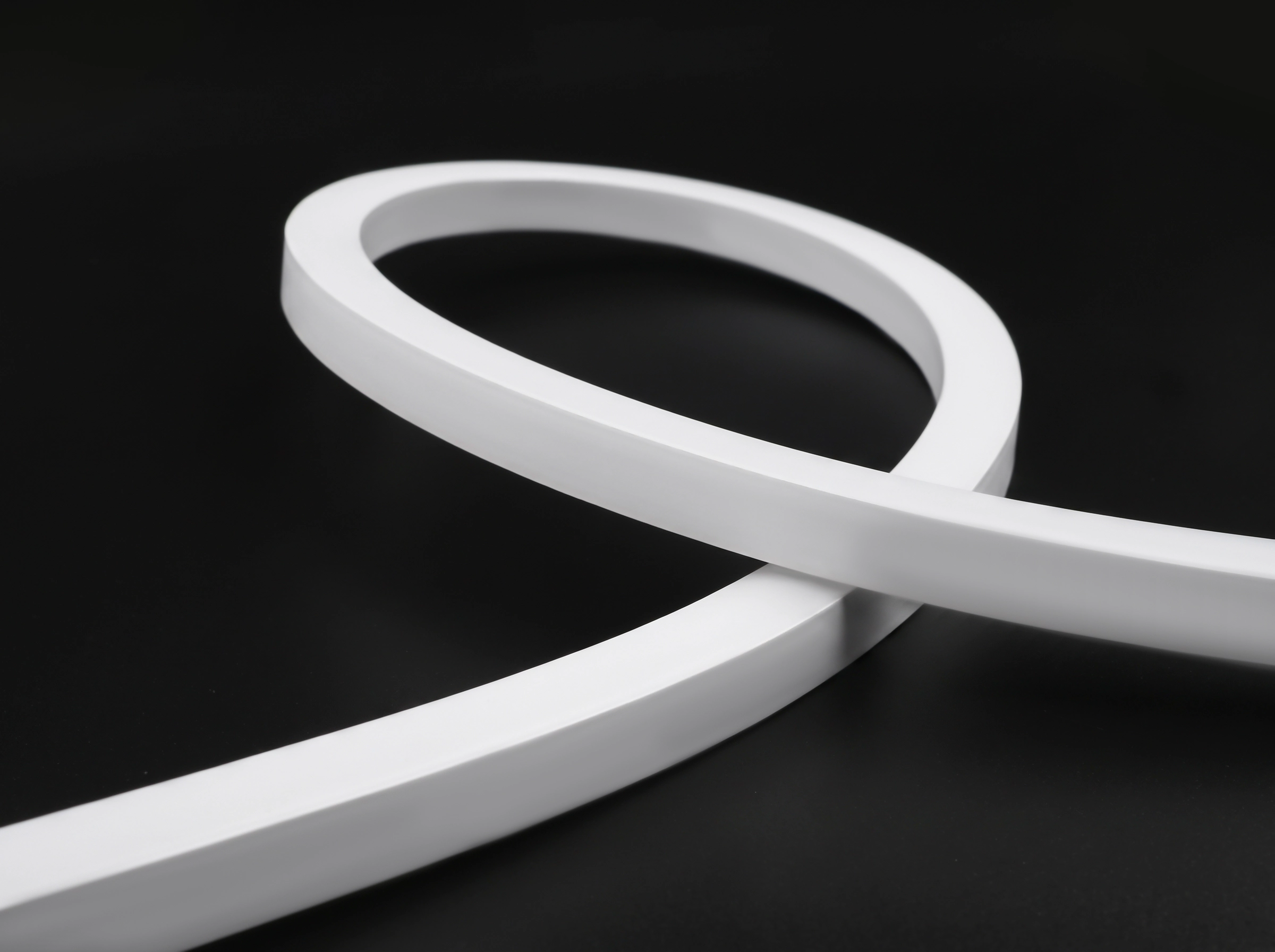 ORLUX LARGE-不发光.webp