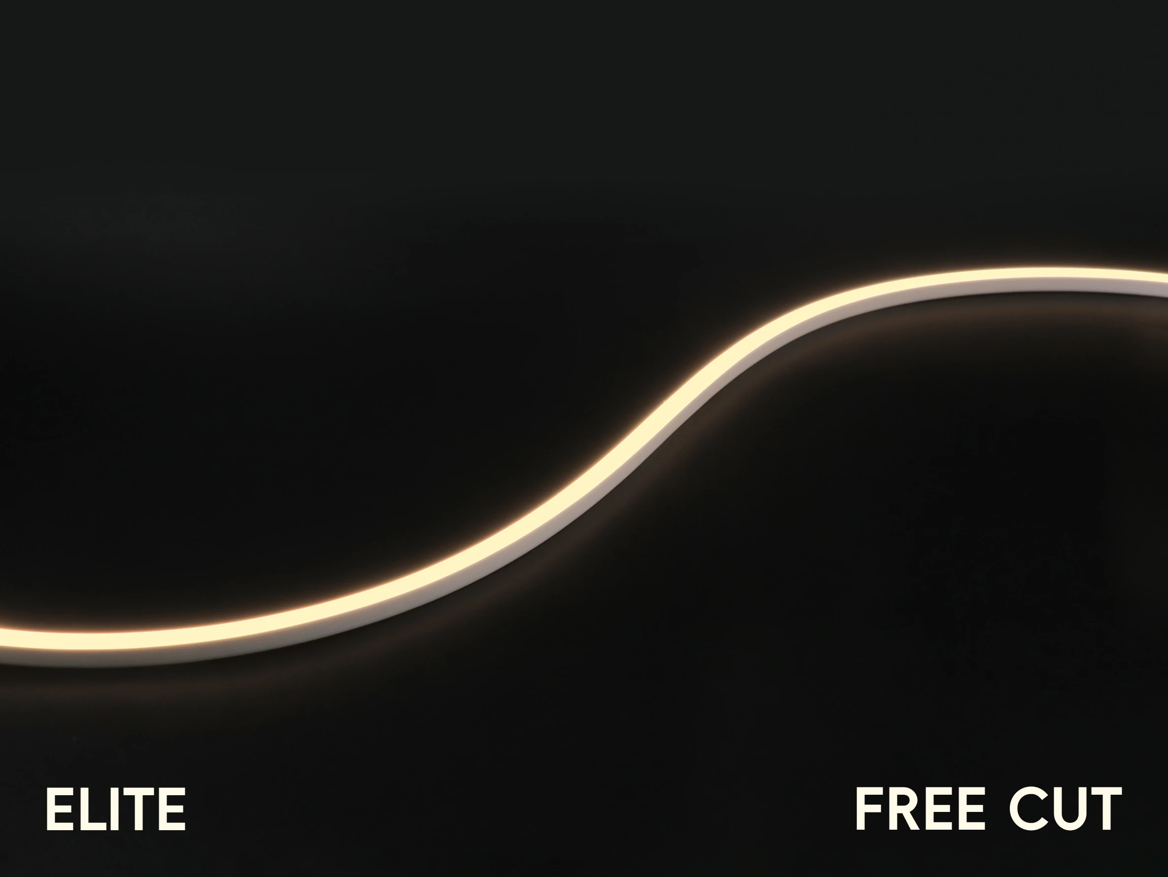 ORLUX SV Small-1.webp